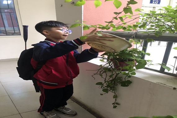 Học sinh 6A1 nhiệt liệt hưởng ứng “Tết trồng cây”